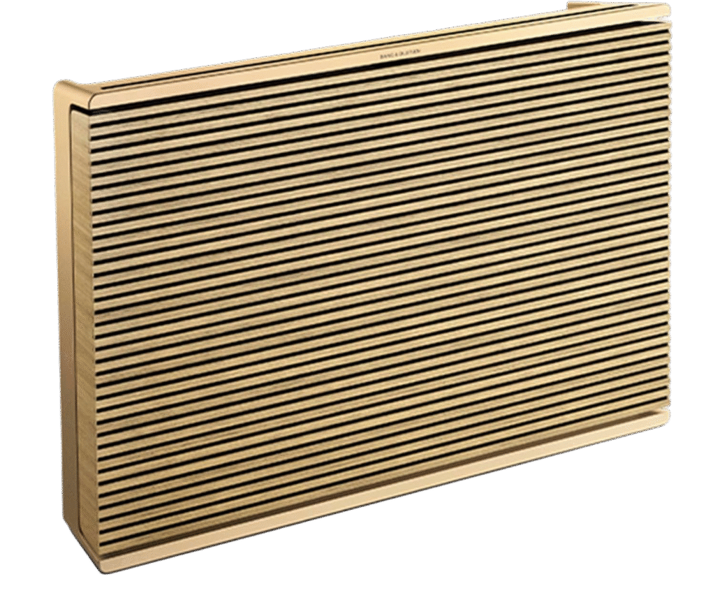 Beosound Level